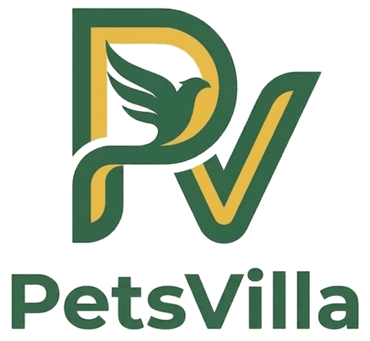 PetsVilla logo