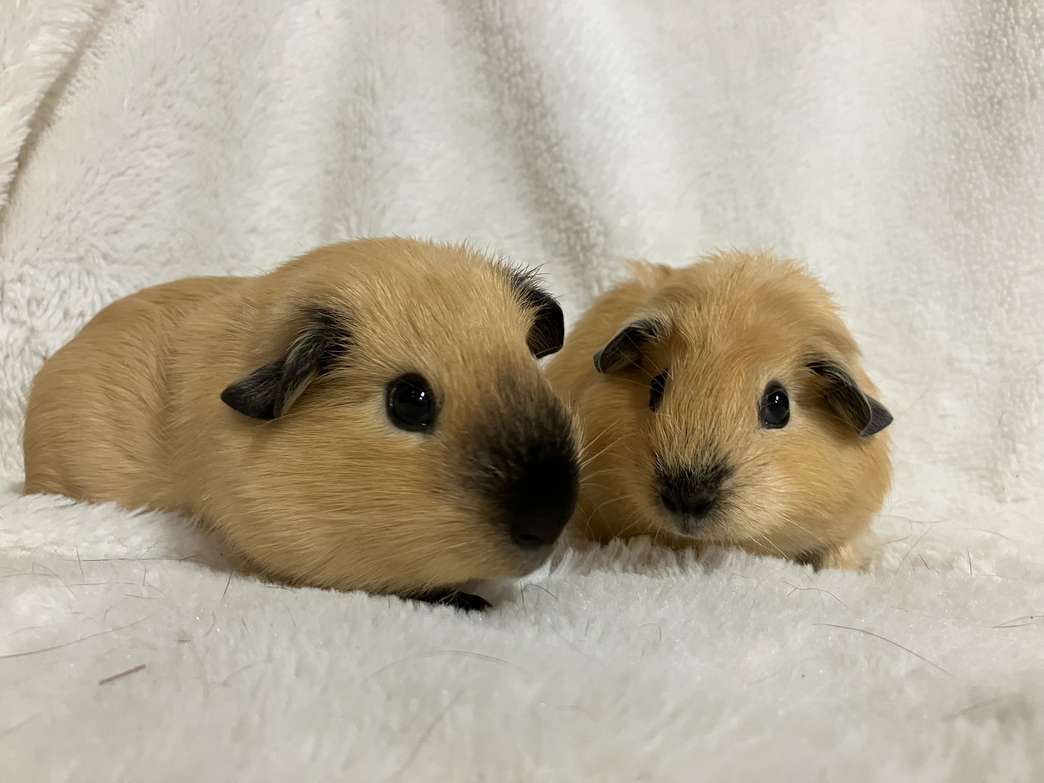 Meie merisead koos vanemaga