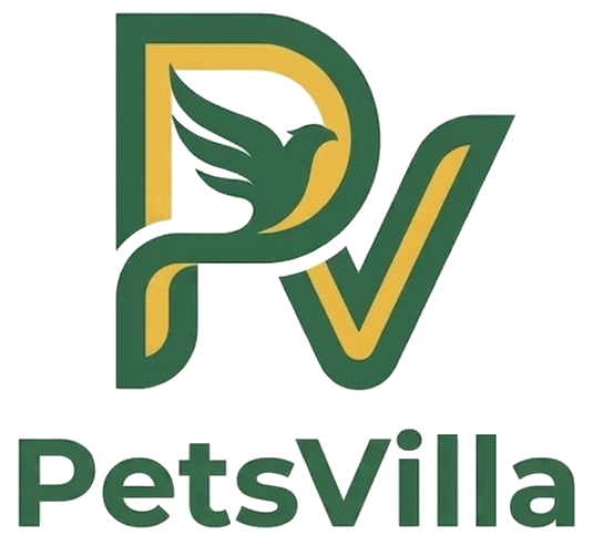 PetsVilla logo